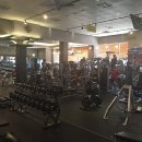 네오휘트니스 이미지