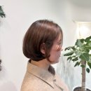 진헤어샵 | 봉선동레이어드펌 살롱드84 1인 헤어샵 단발펌 수분클리닉 후기