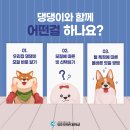 영진문화 이미지