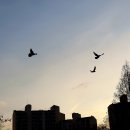 영등포공원 이미지