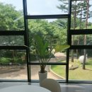 봉제산 책쉼터 이미지