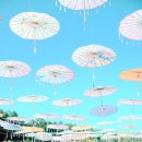 여주-0498 네이버블로그