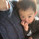 한수풀동물병원 이미지