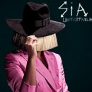 시아(SIA) 이미지