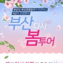 바오투어 이미지