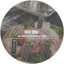 영일닭집 - 포항시 남구 | 영일닭집