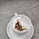 폼폼애견 이미지