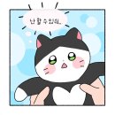 깡다드림 | 주간일기 7주차(20220712~20220718)