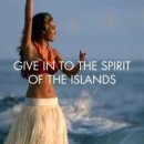 대섬농장 이미지