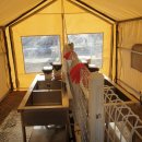 멍글멍글 이미지