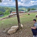 승우목장 이미지