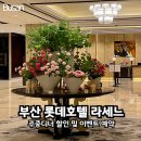 B&G호텔 | 부산 롯데호텔 라세느 할인 및 이벤트 룸 예약 주중디너 후기