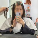 세이더뷰티 솔루션 | 가양역 미용실 박준뷰티랩 손상모 시세이도 리포밍 솔루션 클리닉 솔직후기
