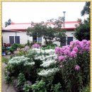 표선가시리민박 이미지