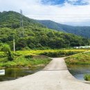 구림 금평교 이미지