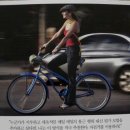 섬앤섬 이미지