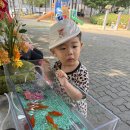 6월 쥬니멀 동물체험 (샌드보아,콜덕,오란다붕어) 이미지