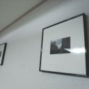 털보벽지 이미지