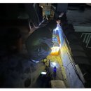 동물보육원 안산지부 이미지