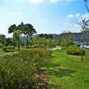 장자호수공원 이미지