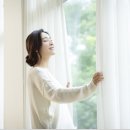 세로움 이미지