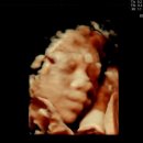 한국통닭(수유점) | 아내가 임신 중기라고요? 매일 산책 시켜주세요.