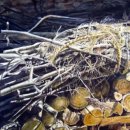 사2동주민센터 | 박종순원장경력및 작품소개