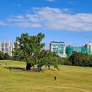 올림픽공원 이미지