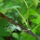 물의합창 이미지