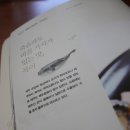 제주의꿈 이미지