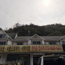 홍천래프팅부터 홍천ATV까지 하루 알차게 즐긴 홍천 레저윤 체험 후기