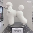 펫플러스아카데미애견미용학원