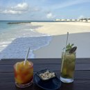 어부의만찬A | [신행 D+4] 알릴라 코타이파루 보트 낚시 생생후기🐟🐠🐡(어부 소질 발견, 마지막 저녁, 서비스, 생일...