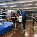 군포복싱 네이버블로그