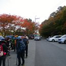 상대농장 이미지