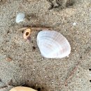 장곡펜션 이미지