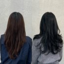 그로잉살롱(잠실점) | [서울/잠실]그로잉살롱 잠실점 상현쌤 염색후기💈