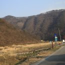 김용택 축사 이미지