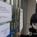 능수정 이미지