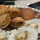 다이버해물나라 이미지