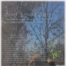 (노원)초안산 상궁 개성박씨(開城朴氏) 묘