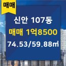 신안월드공인중개사사무소 이미지