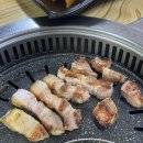 도세기집 | 제주 일도지구 맛집 신선한 제주산 돼지고기를 맛볼 수 있는 도세기집 방문후기