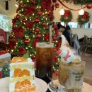 땡큐베리(Thankyou berry) 이미지