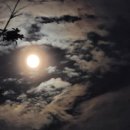 한자인문학 이미지