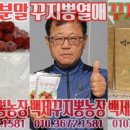 백제꾸지뽕농장 네이버블로그