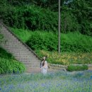 도농체육공원 이미지