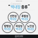 글로리서울안과의원 이미지