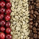 블루에그 이미지