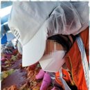 가람재가방문요양센터 이미지